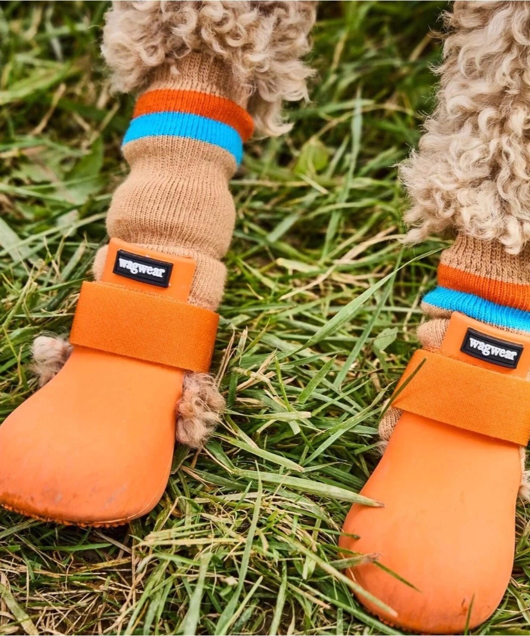WAGWELLIES BY WAGWEAR - YELLOW