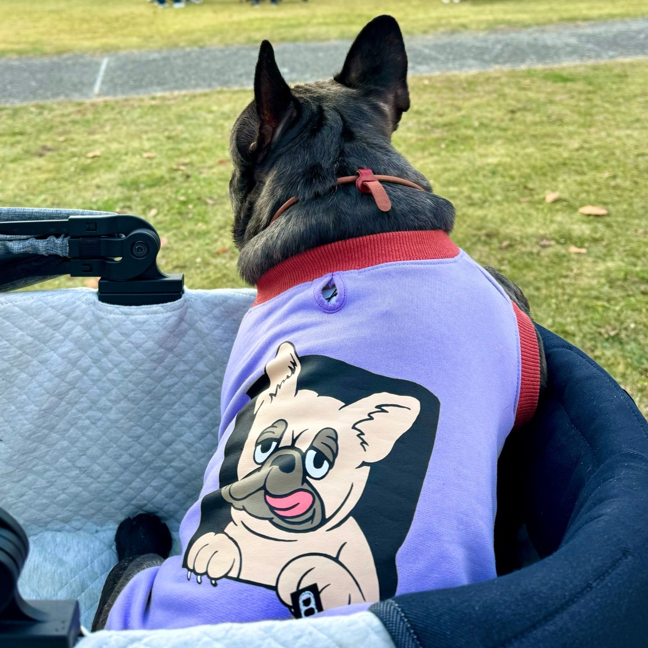 FRENCHI BULL DOG TANK - PPL×PIED