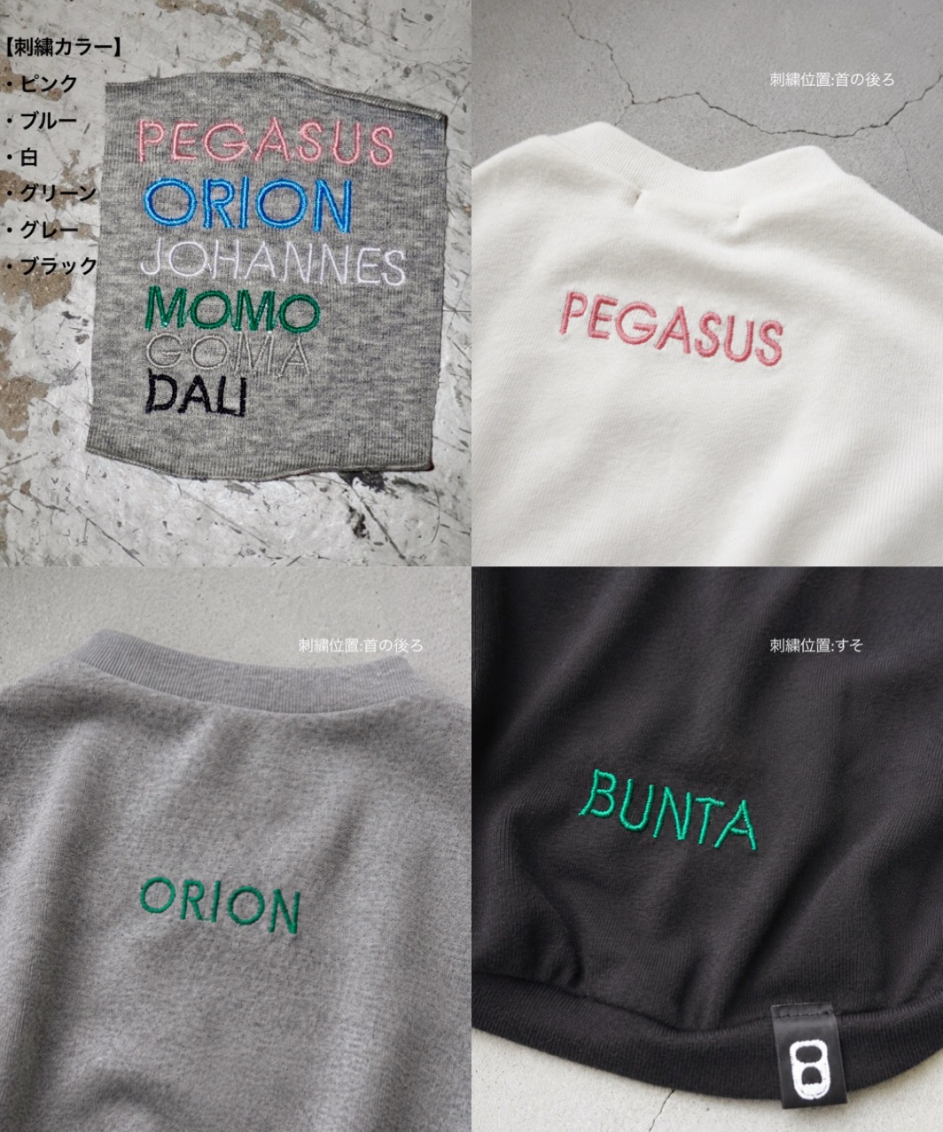 PEGION CLASSIC T - WHITE