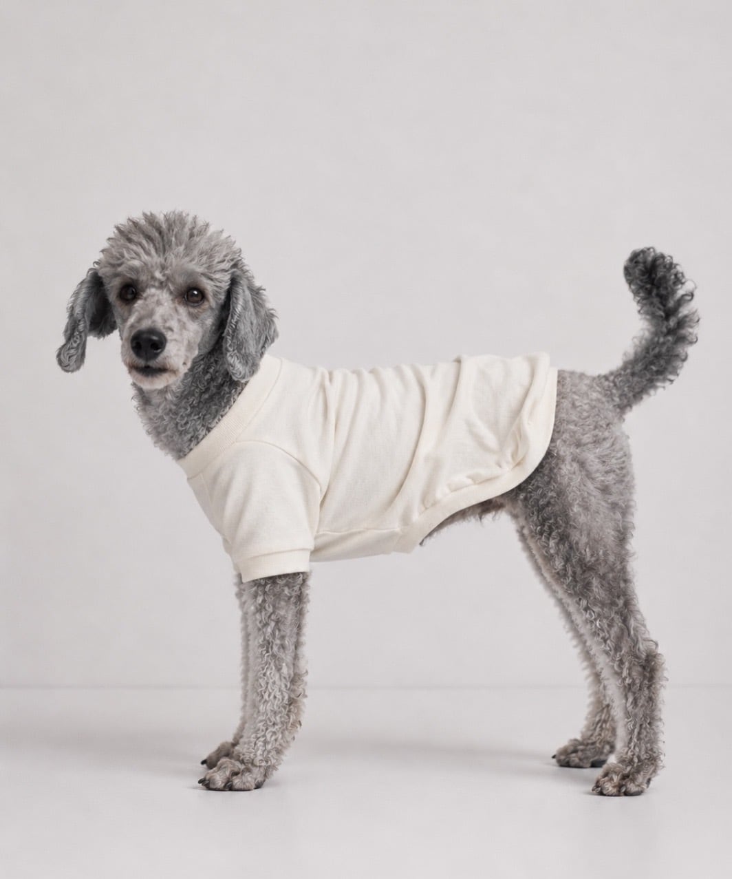 PEGION CLASSIC T - WHITE