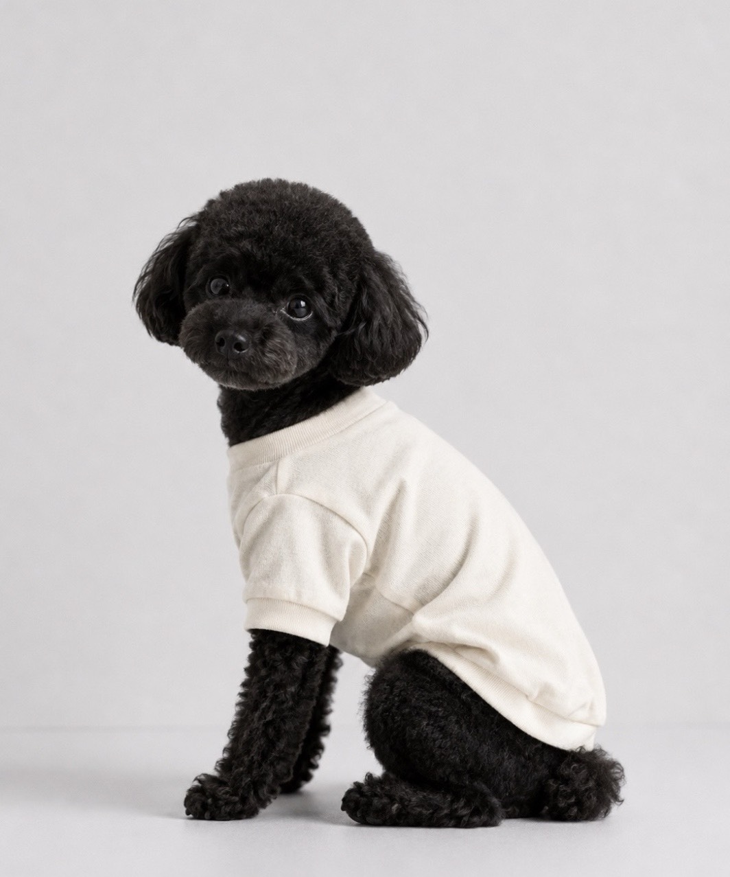 PEGION CLASSIC T - WHITE