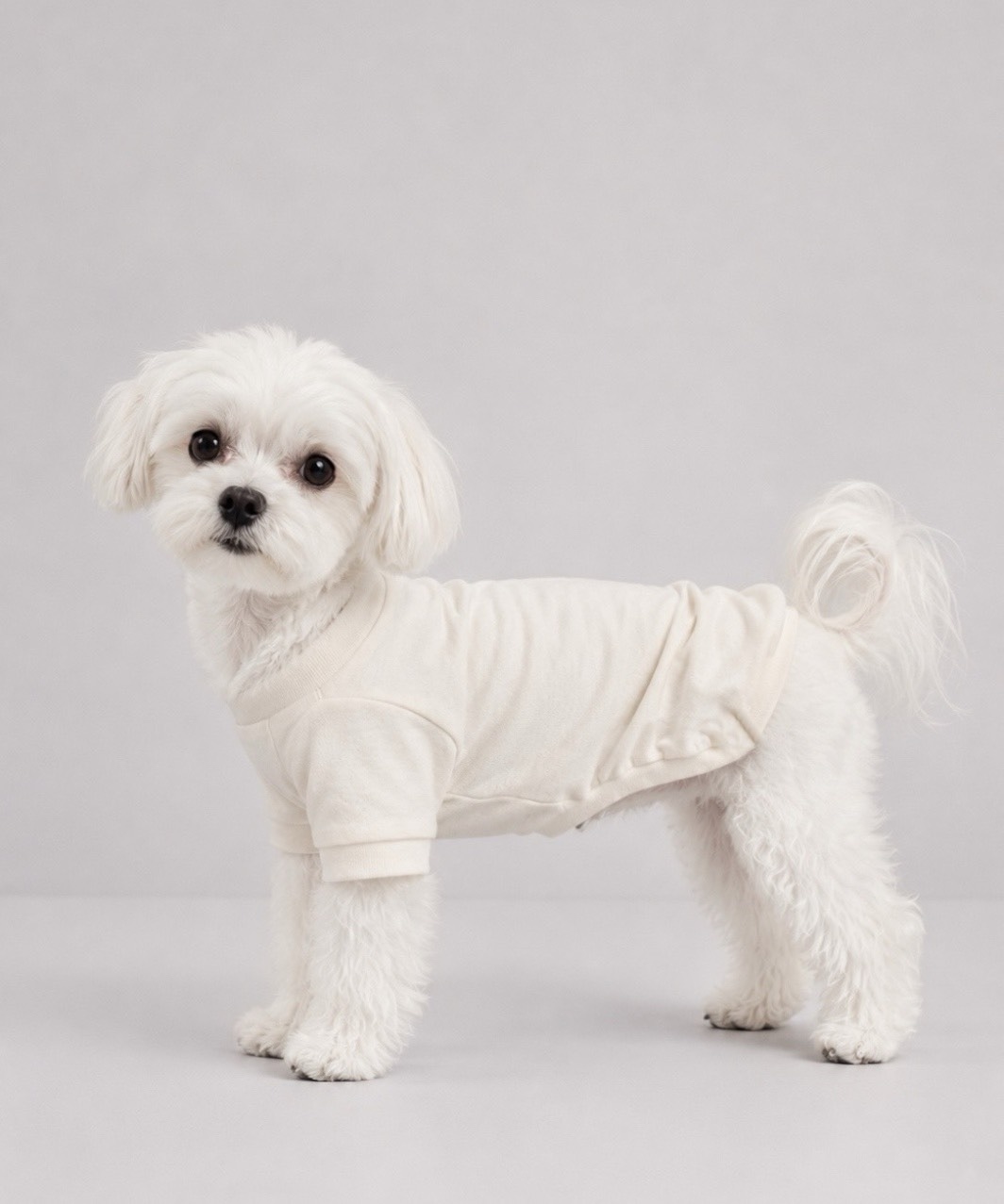 PEGION CLASSIC T - WHITE