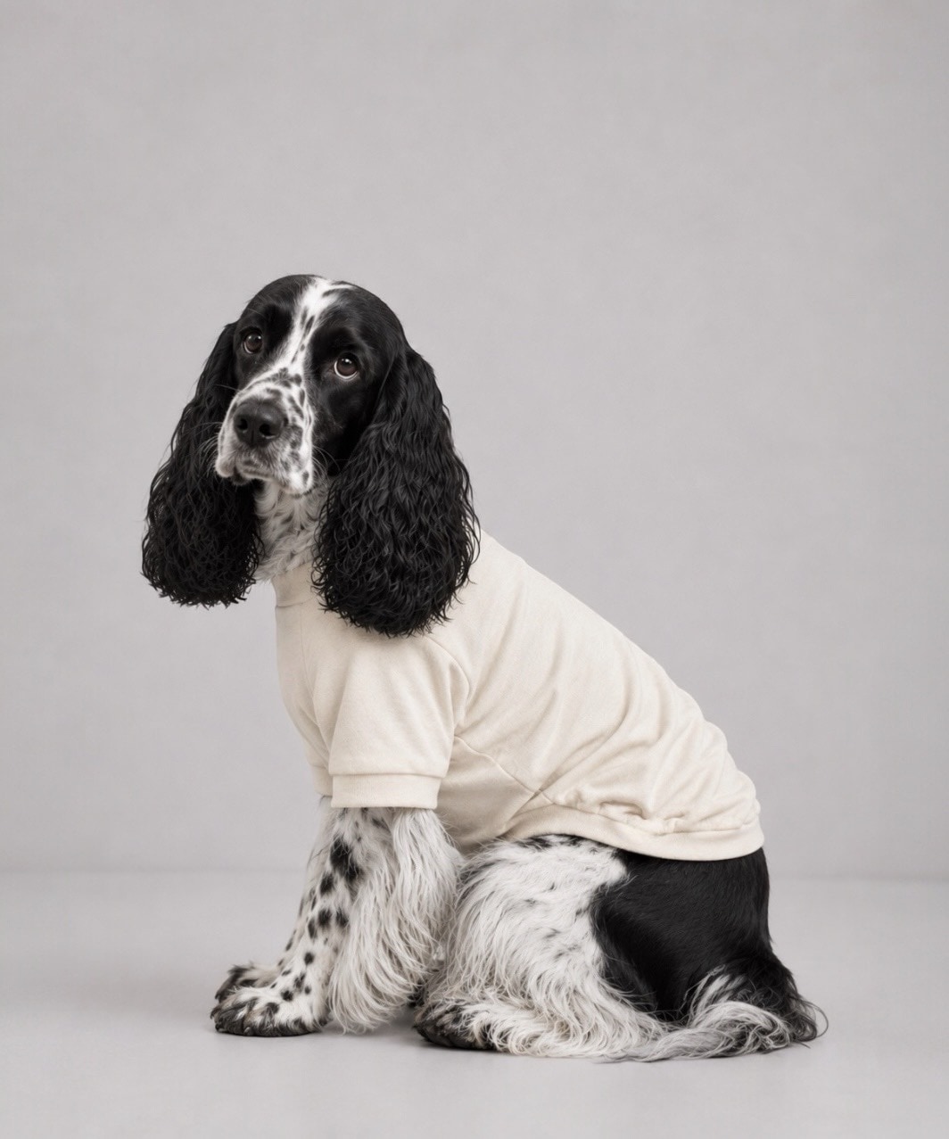 PEGION CLASSIC T - WHITE