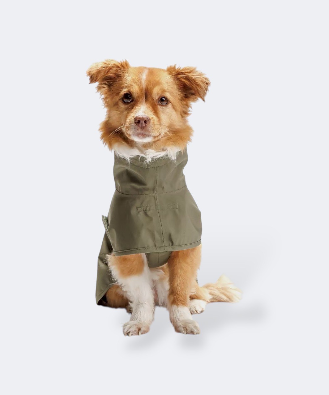 DOG RAINCOAT HELGOLAND - KHAKI