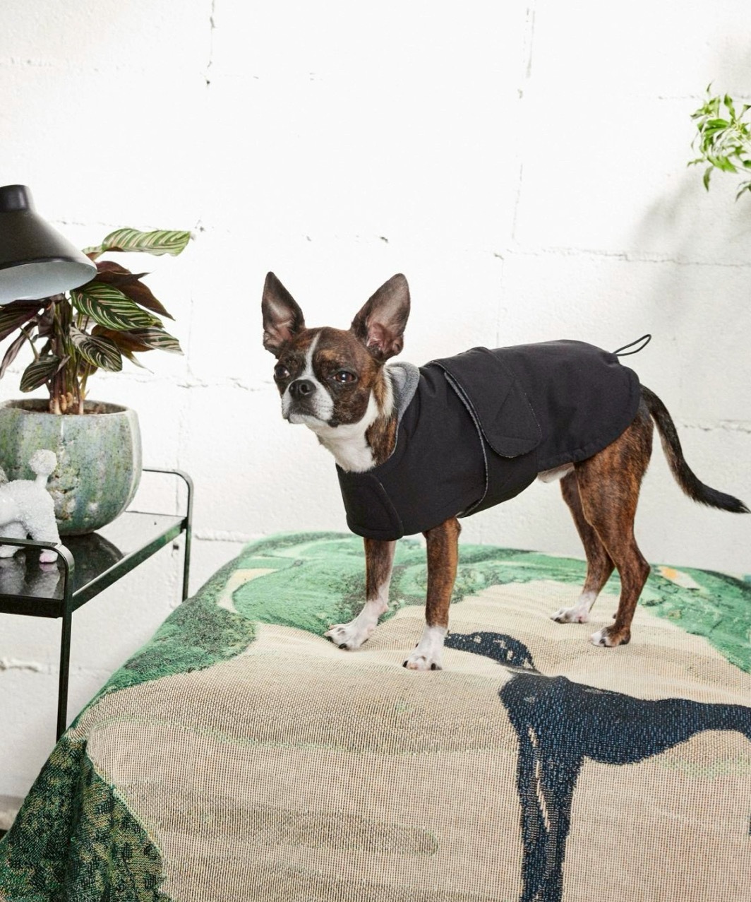 FUTON DOG COAT - BLACK/GREY