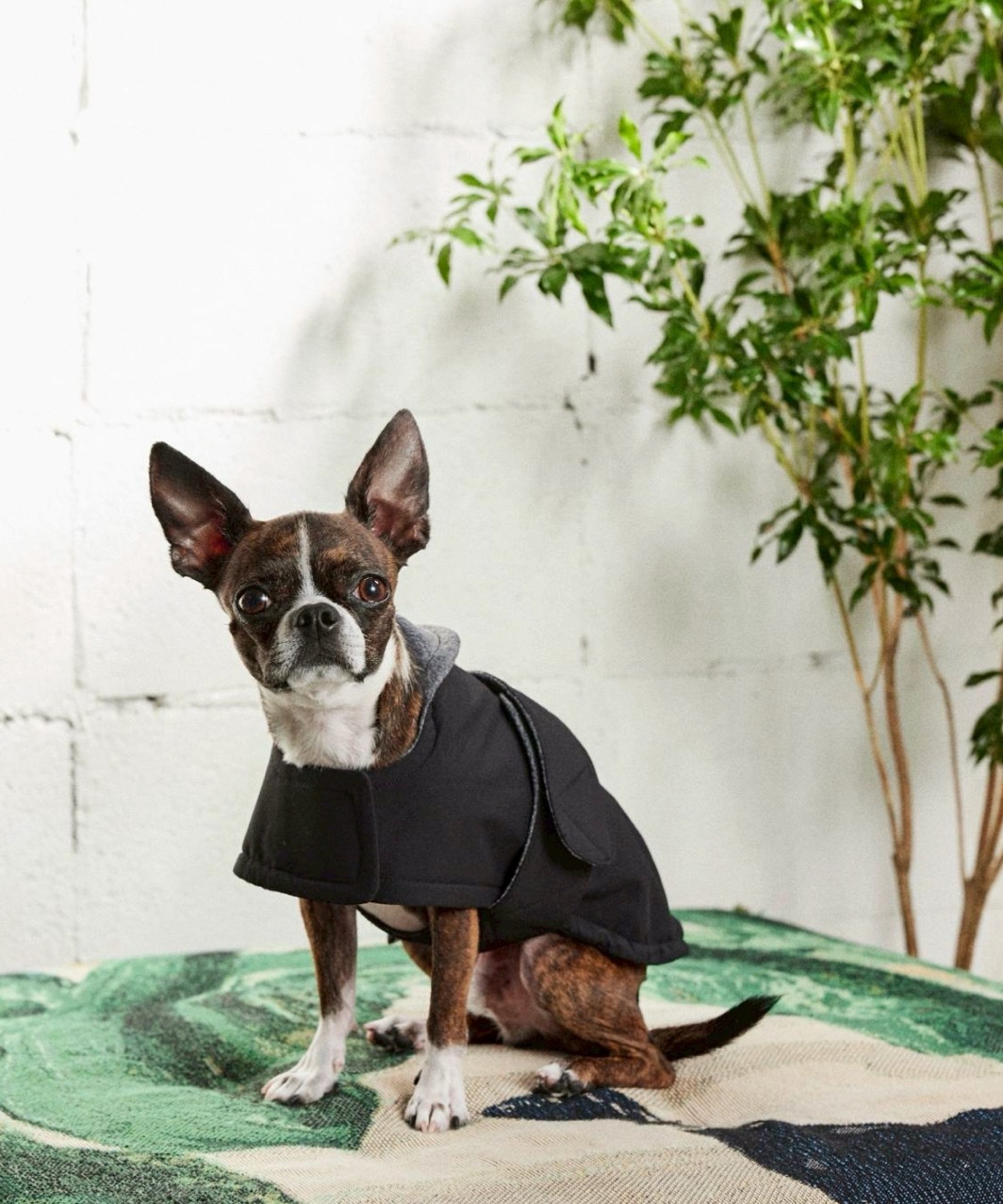 FUTON DOG COAT - BLACK/GREY