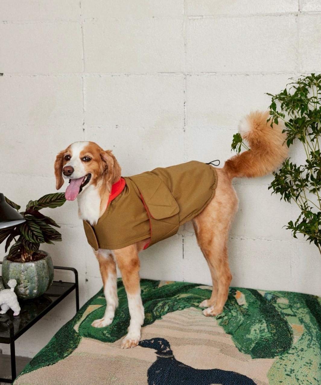 FUTON DOG COAT - KHAKI/RED