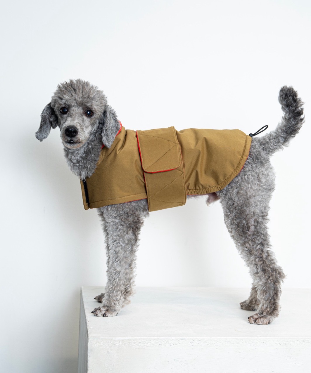 FUTON DOG COAT - BLUE/GREEN