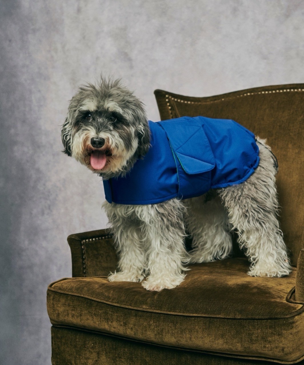 FUTON DOG COAT - BLUE/GREEN