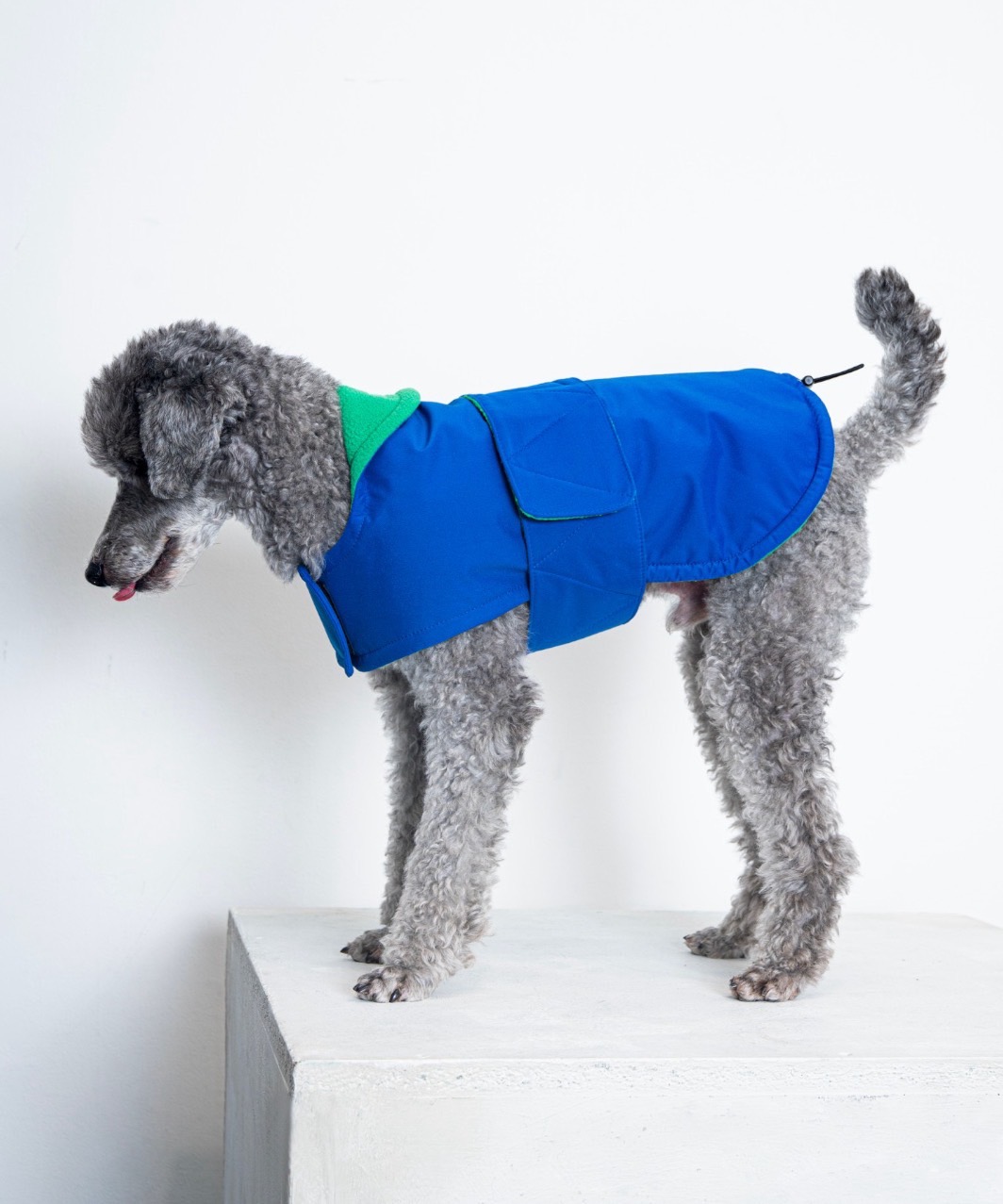 FUTON DOG COAT - BLUE/GREEN