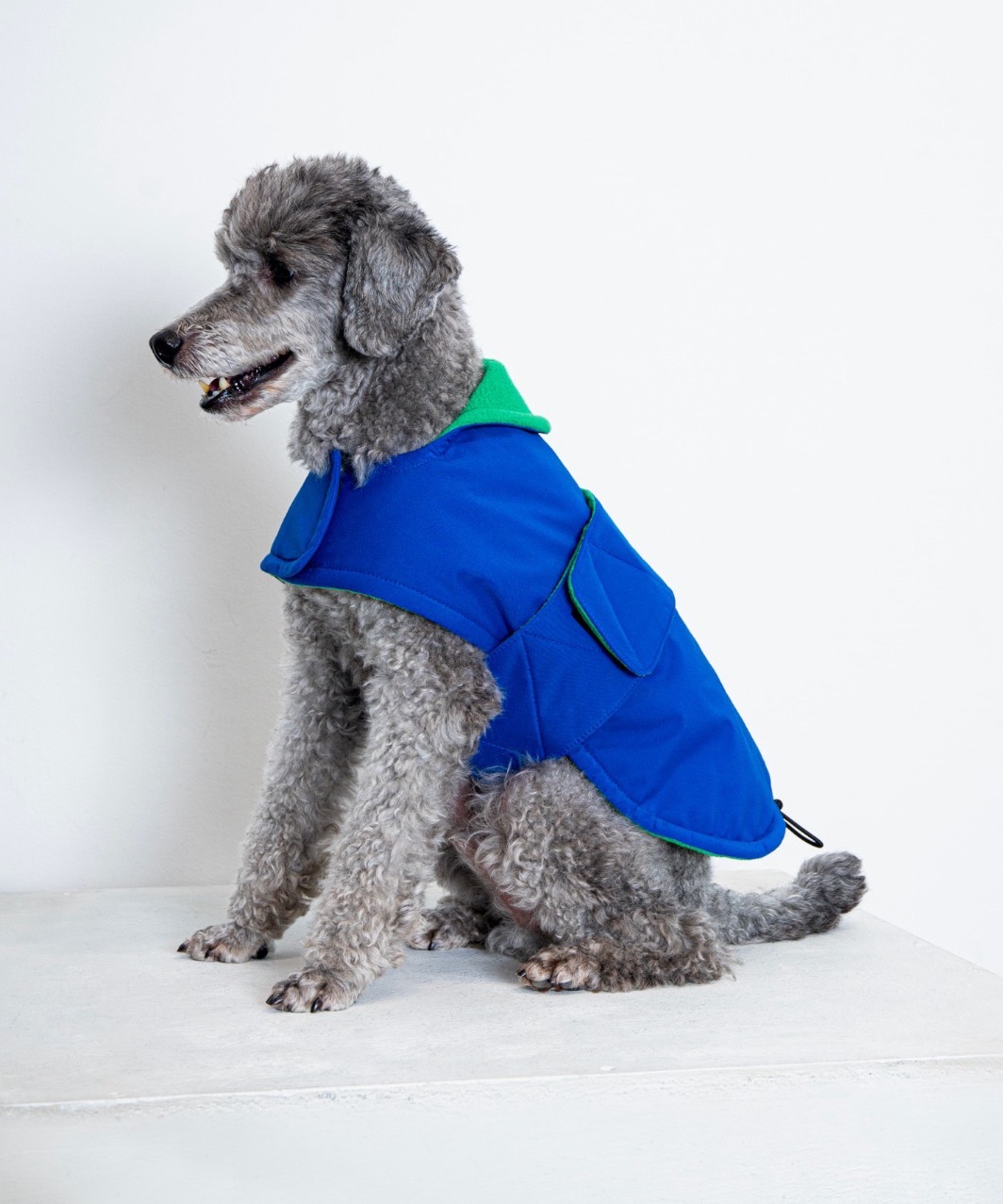 FUTON DOG COAT - BLUE/GREEN