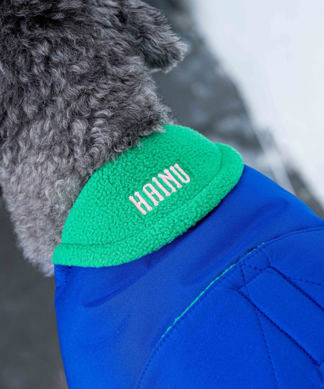 FUTON DOG COAT - BLUE/GREEN