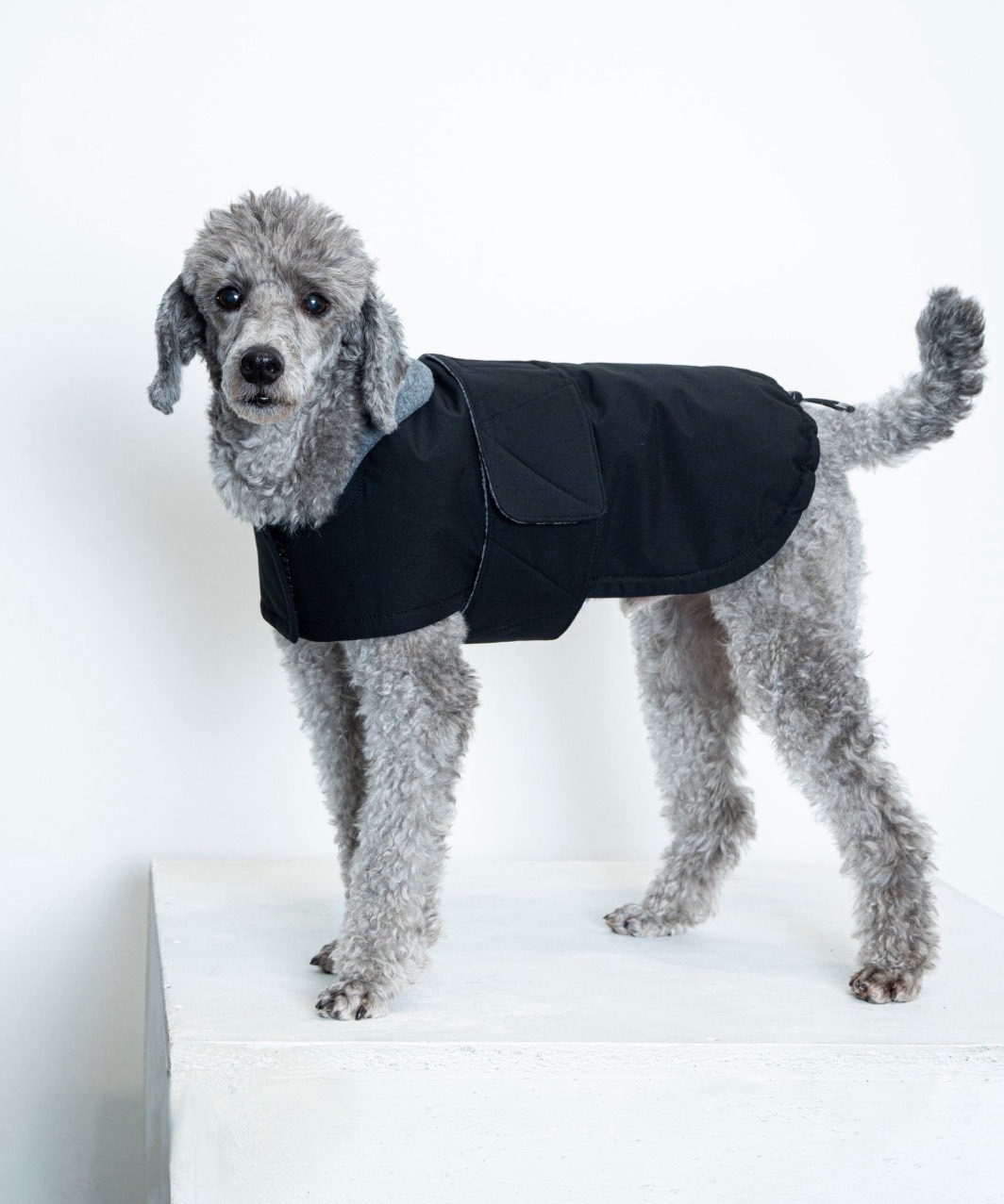 FUTON DOG COAT - BLUE/GREEN