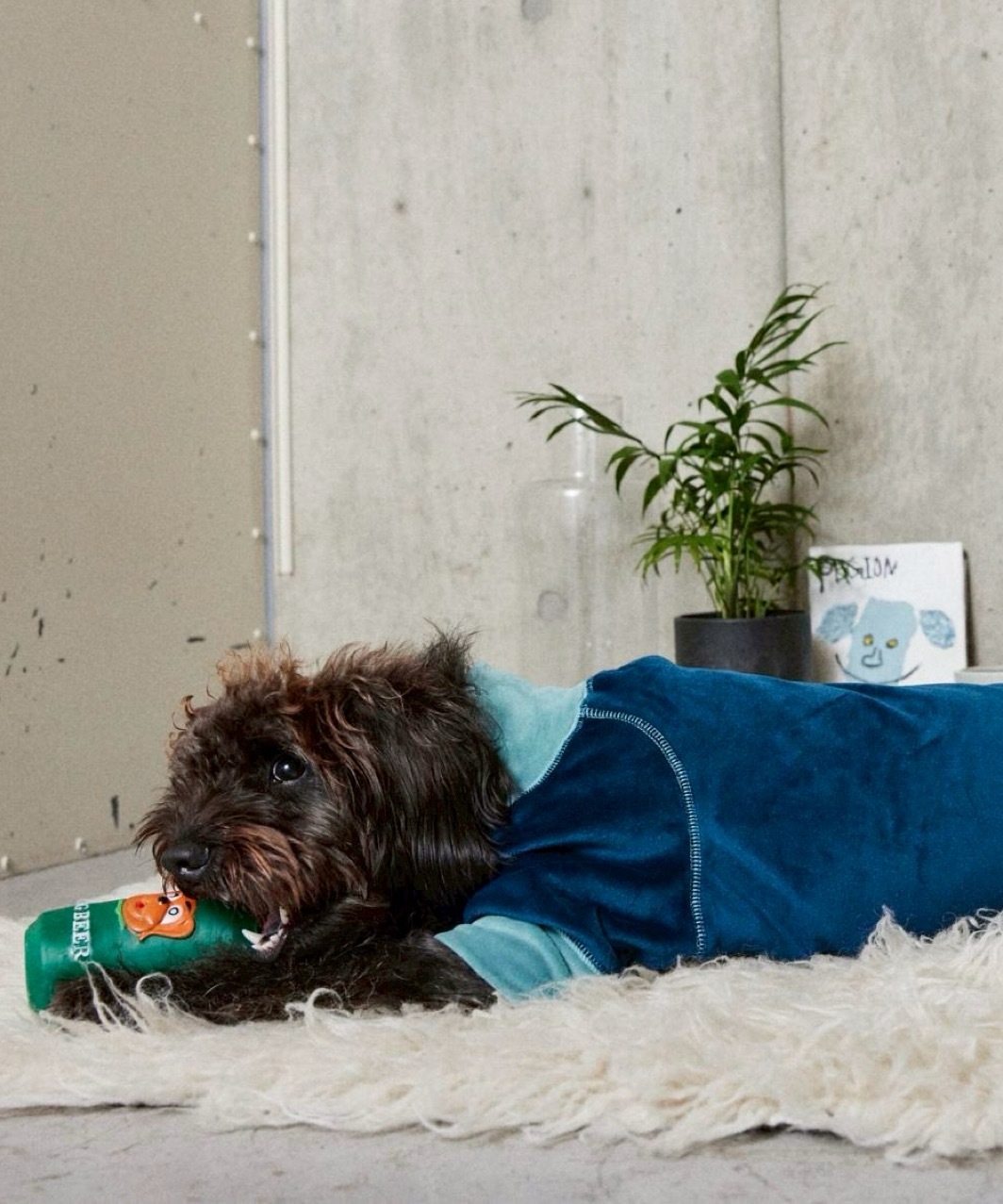 FUR VELOUR ROMPERS - NAVY/MINT