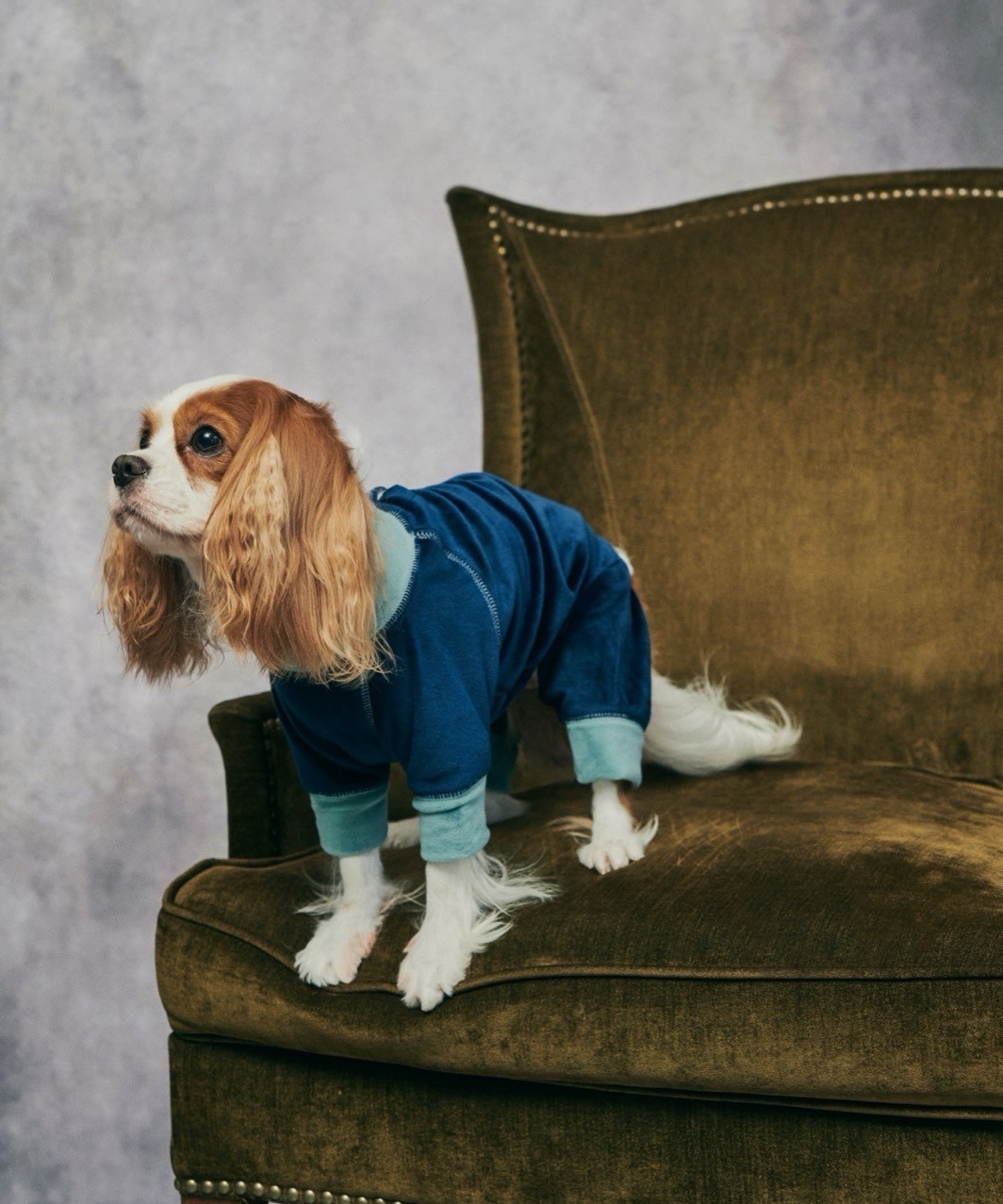 FUR VELOUR ROMPERS - NAVY/MINT
