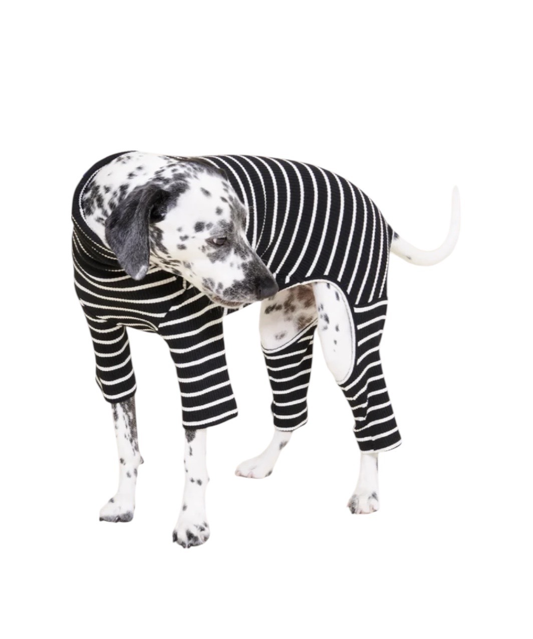 CAFE IN PARIS ONESIE - BLACK/WHITE