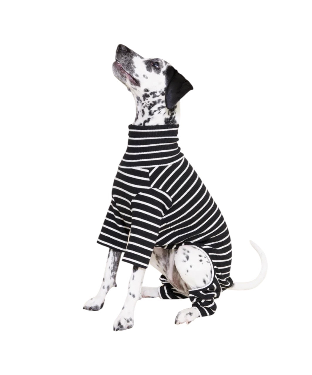 CAFE IN PARIS ONESIE - BLACK/WHITE