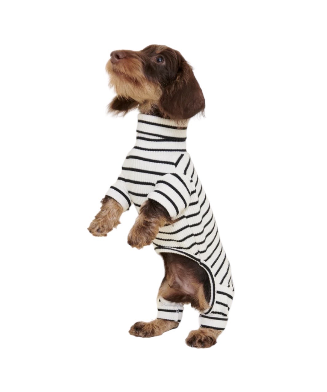 WORLD’S YOUR OYSTER ONESIE - WHITE/BLACK