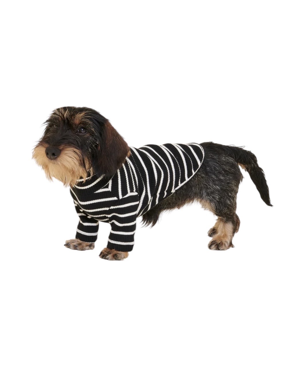 CAFE IN PARIS SHIRT - BLACK/WHITE