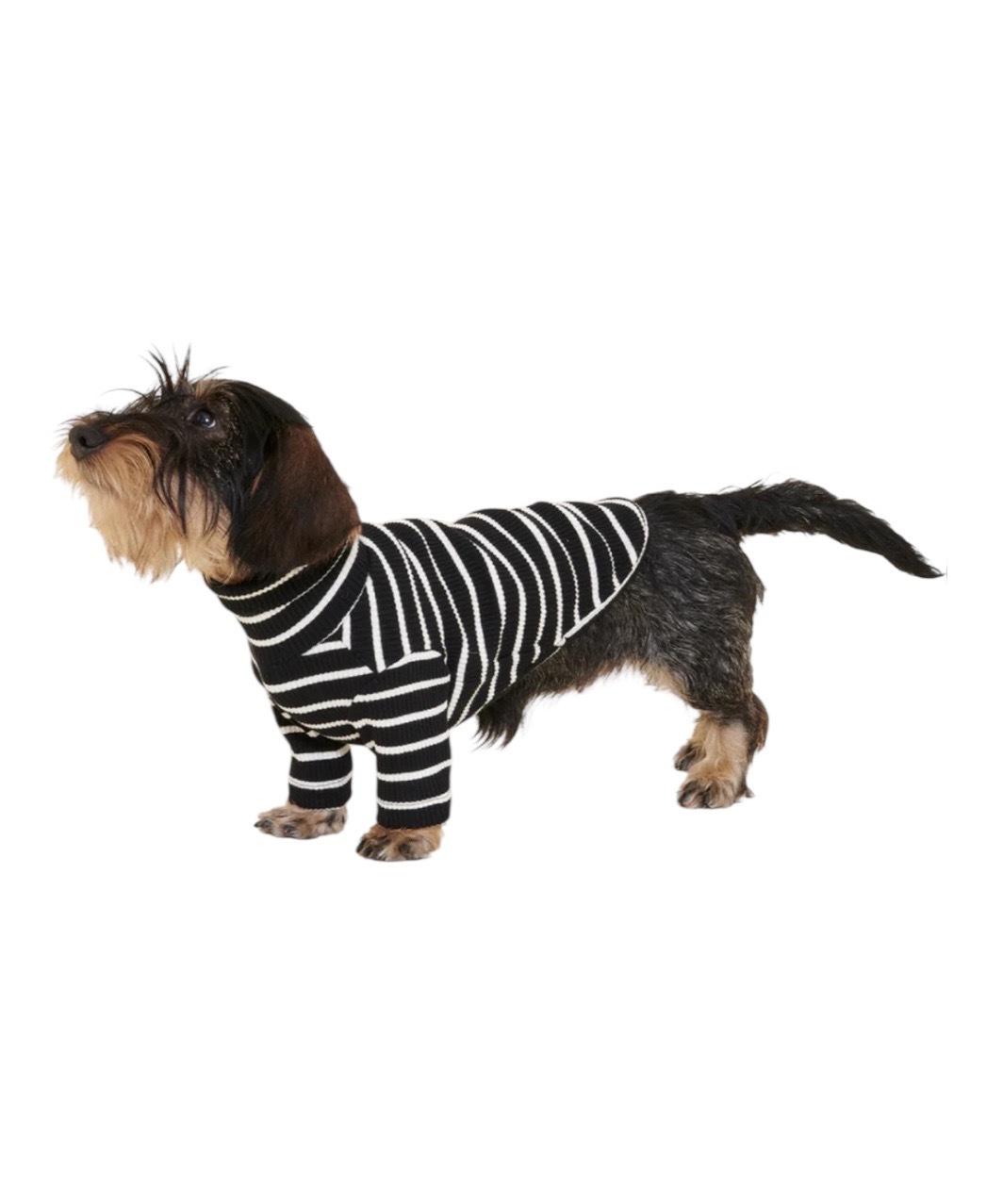 CAFE IN PARIS SHIRT - BLACK/WHITE