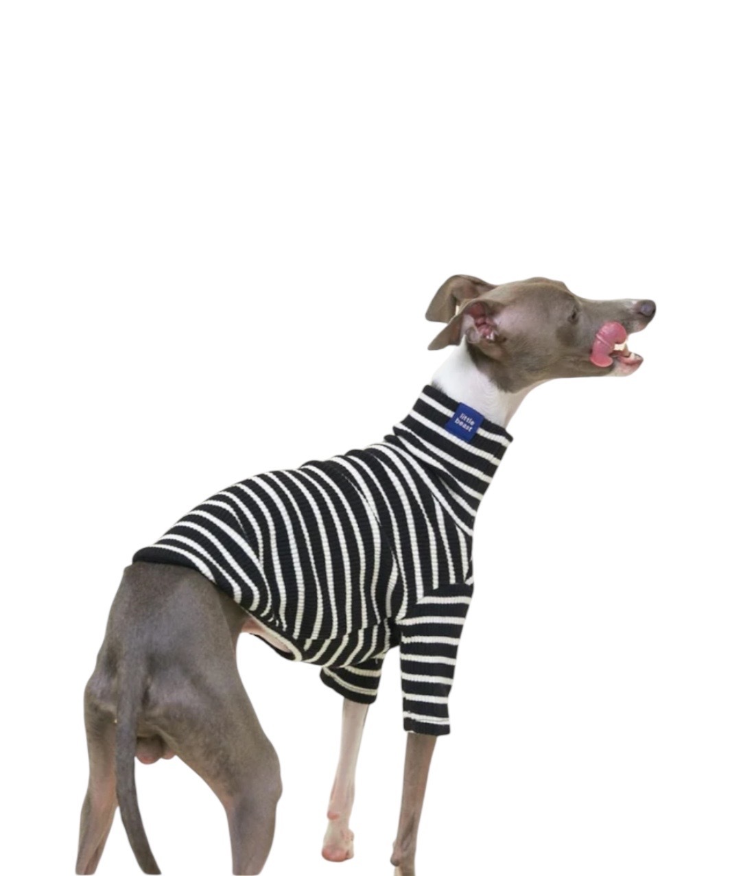 CAFE IN PARIS SHIRT - BLACK/WHITE