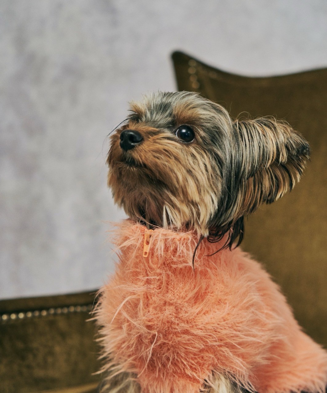 FLUFFY KNIT - ORANGE