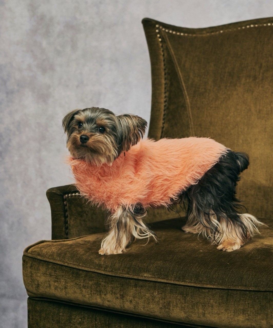 FLUFFY KNIT - ORANGE