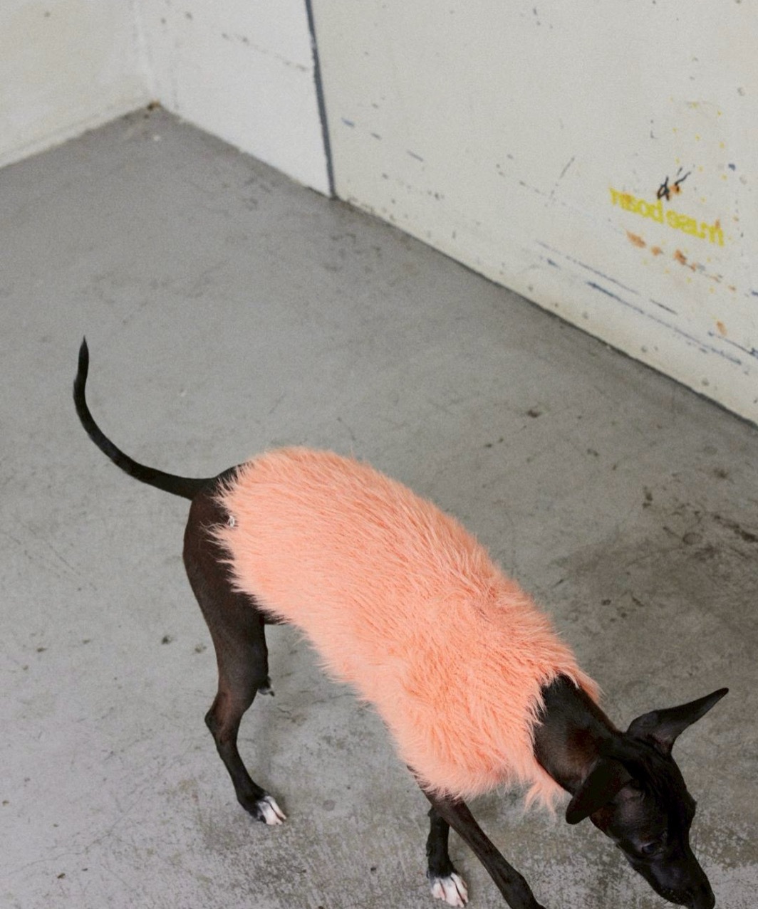 FLUFFY KNIT - ORANGE