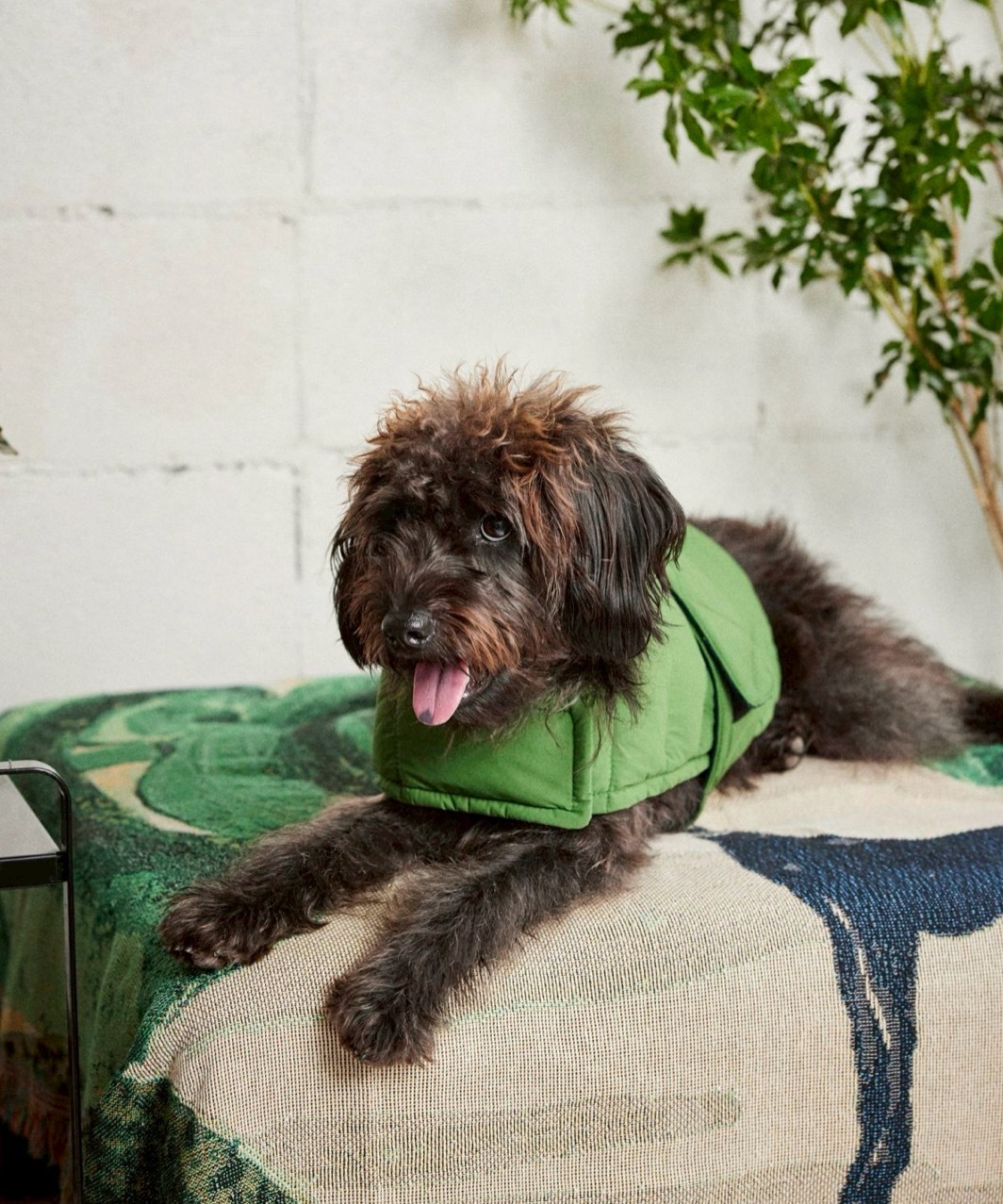 EASY DOWN COAT - KHAKI