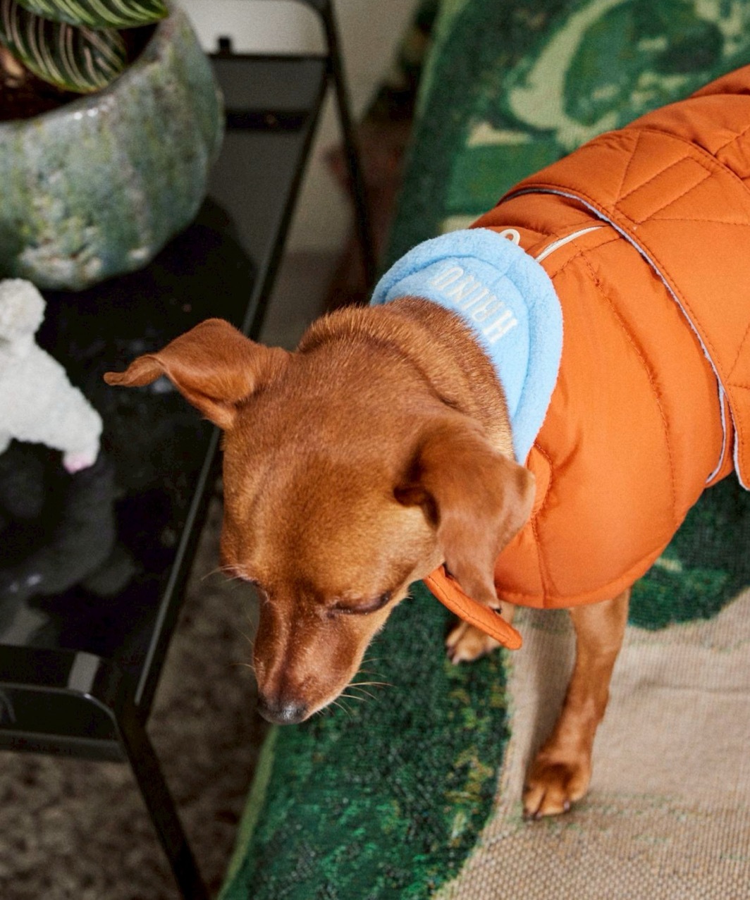 EASY DOWN COAT - BURNT ORANGE