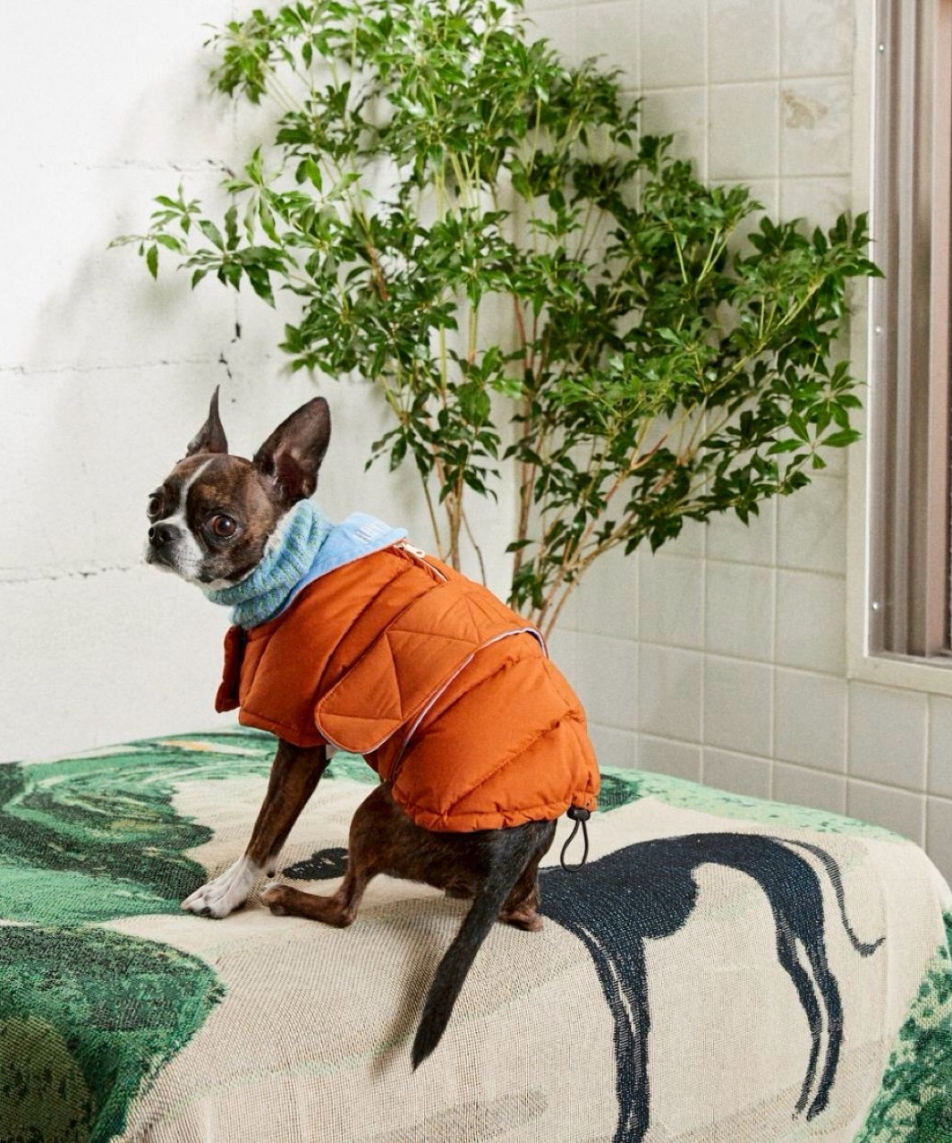 EASY DOWN COAT - BURNT ORANGE