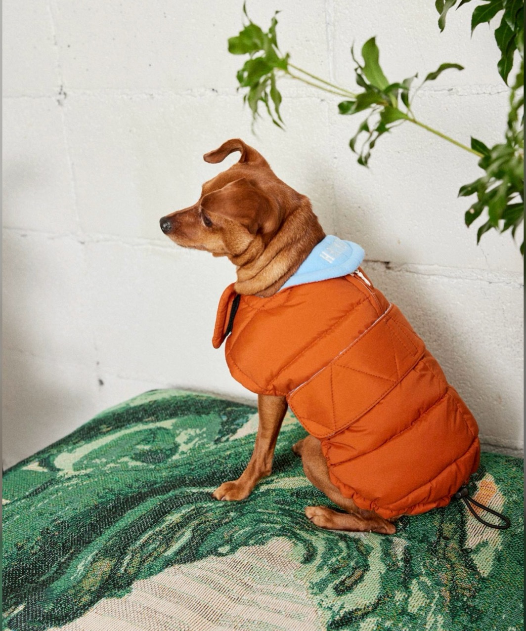 EASY DOWN COAT - BURNT ORANGE