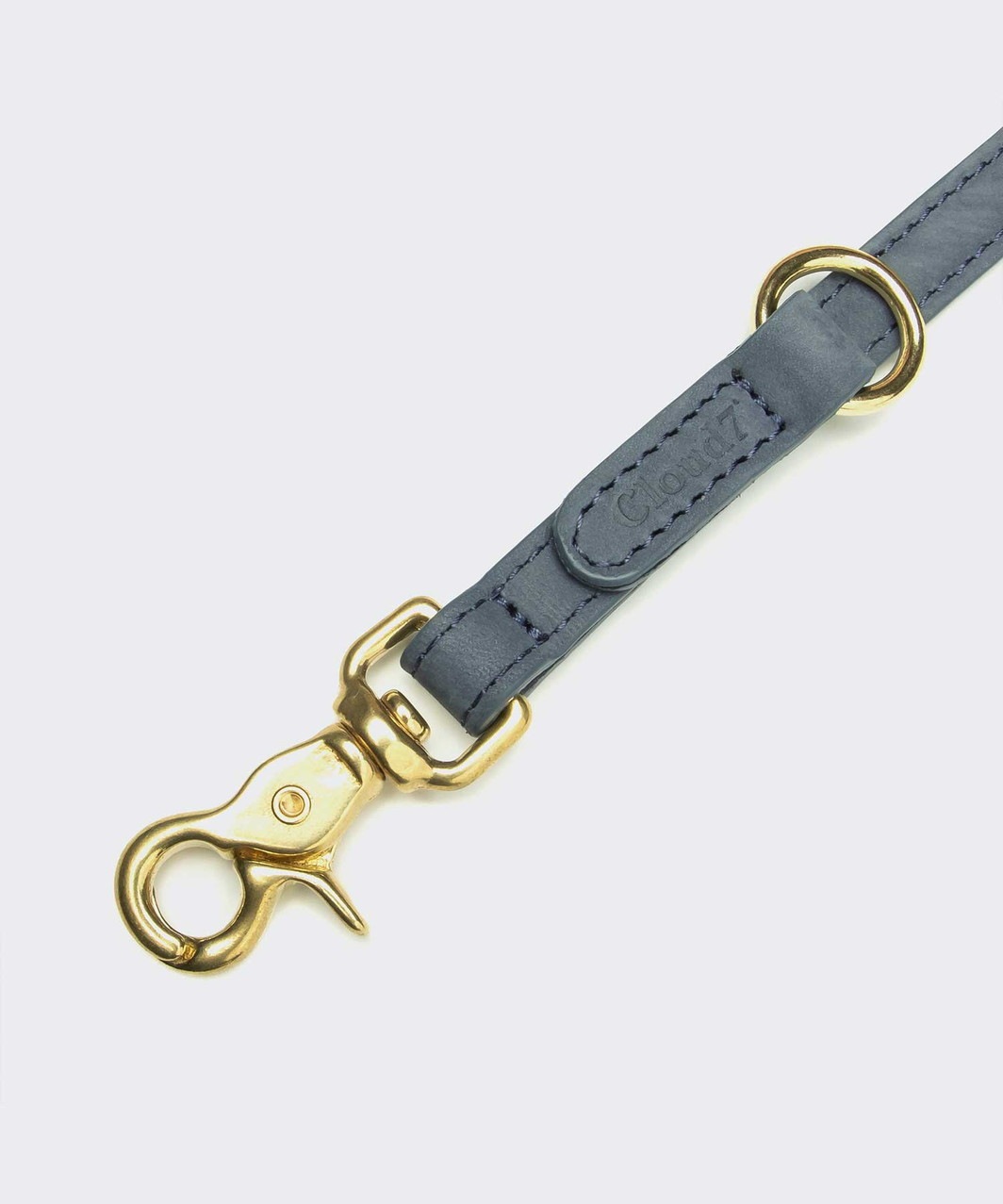 DOG LEASH TIERGARTEN - BLUE