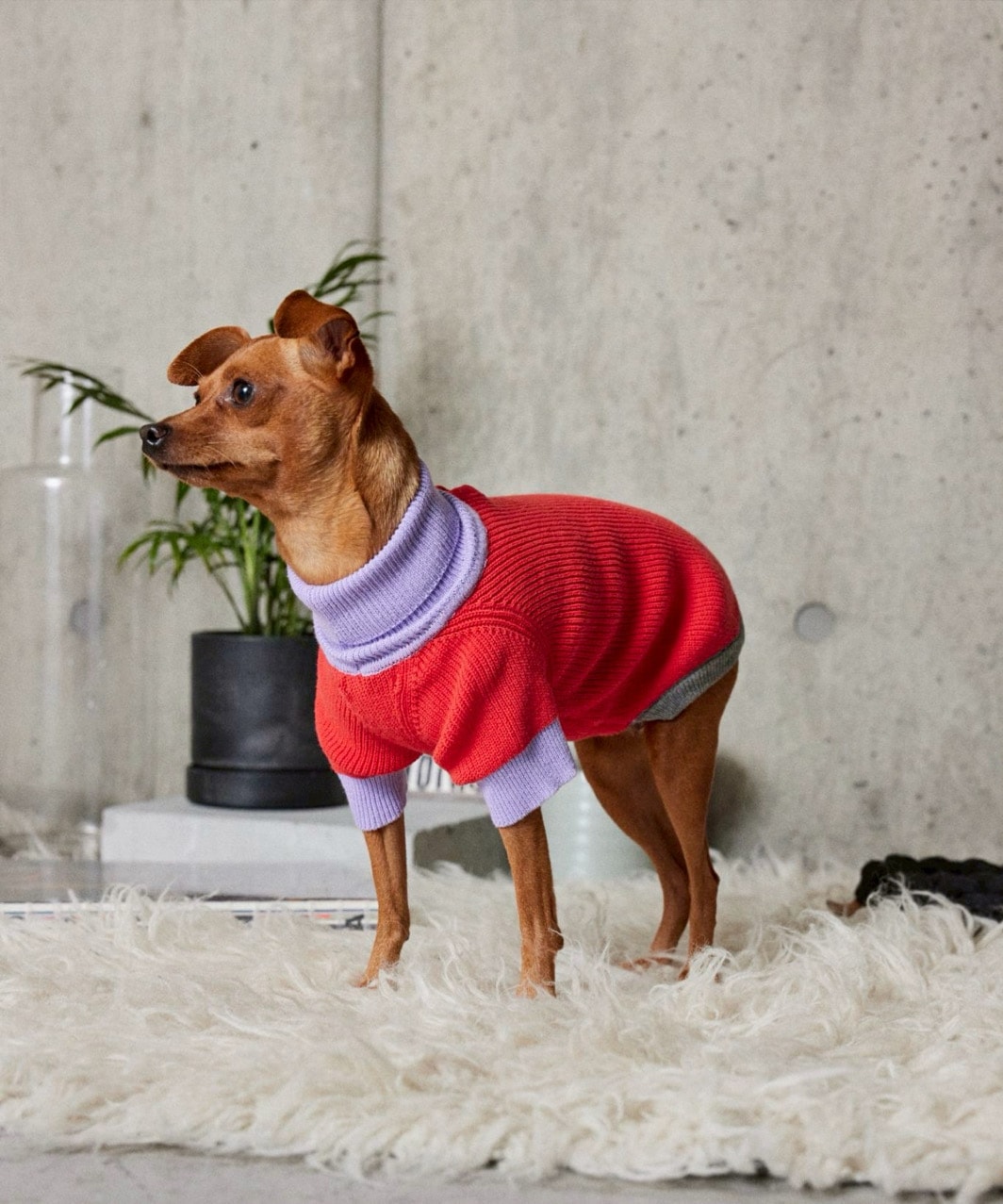 PALETTE KNIT - ORANGE