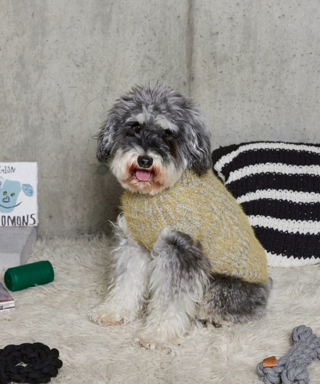 FUZZ SWEATER - GREY/YELLOW