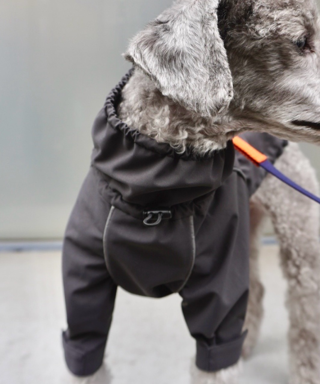 BACK-ZIP BLOUSON - BLACK/BLACK