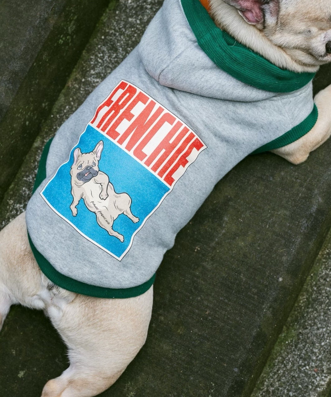 FRENCHIE DOG PARKA - BRINDLE
