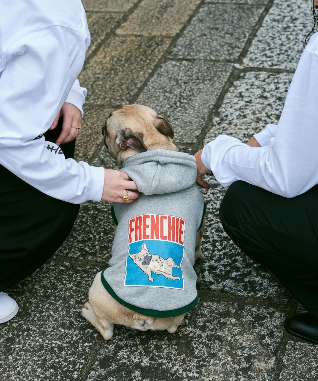 FRENCHIE DOG PARKA - BRINDLE