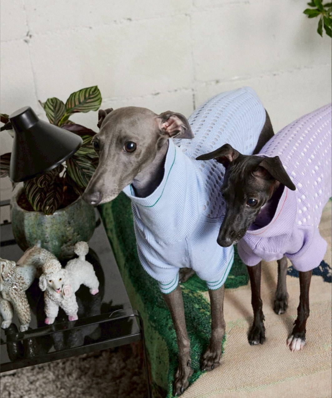 PIQUE SWEATER-LAVENDER