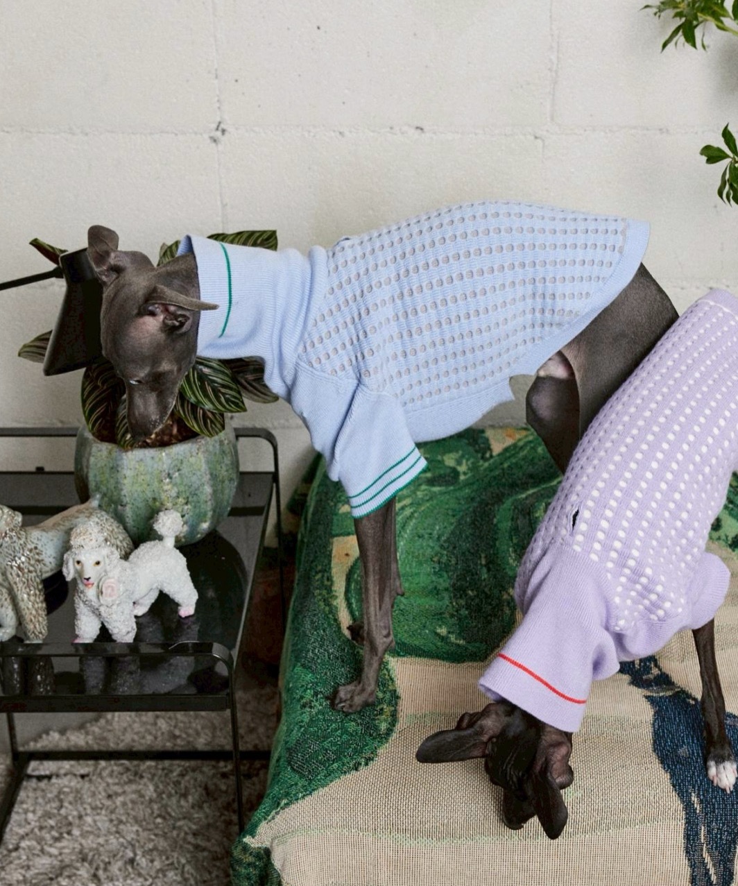 PIQUE SWEATER-BABY BLUE