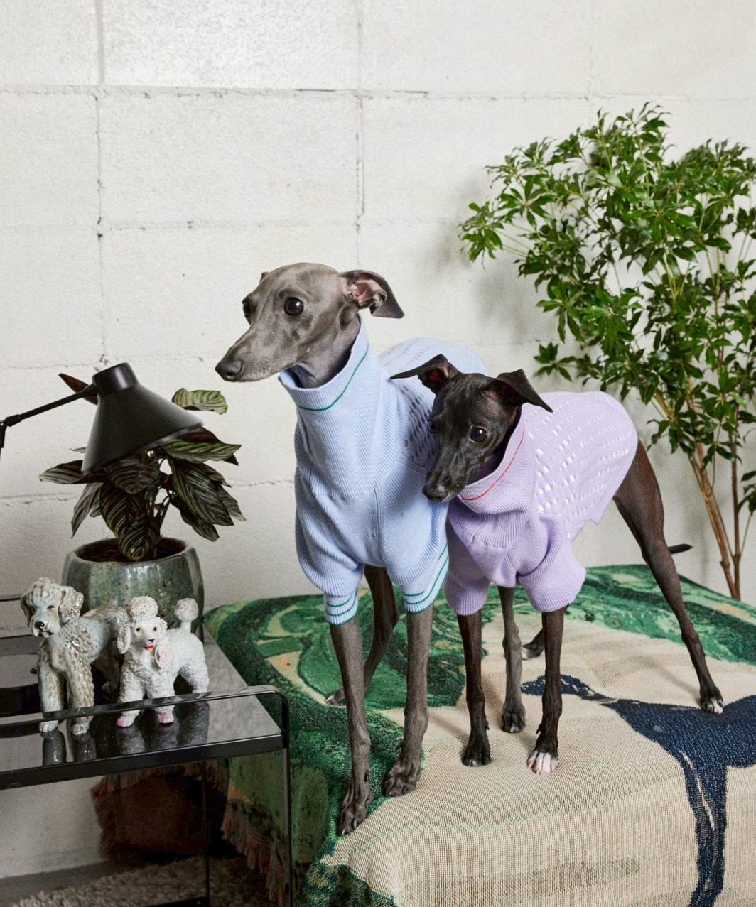 PIQUE SWEATER-BABY BLUE