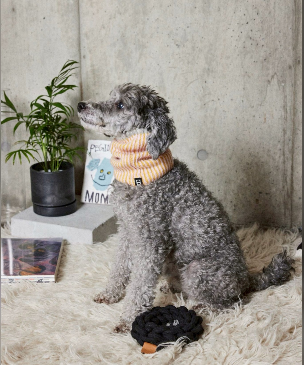 RIBLET NECK WARMER - YELLOW/BABY PINK