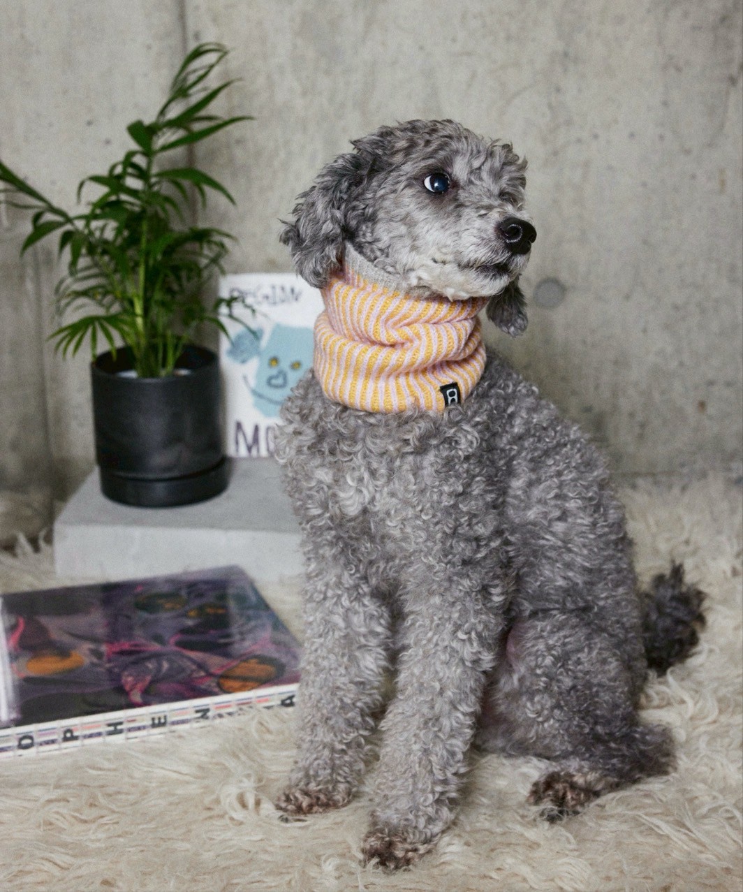 RIBLET NECK WARMER - YELLOW/BABY PINK