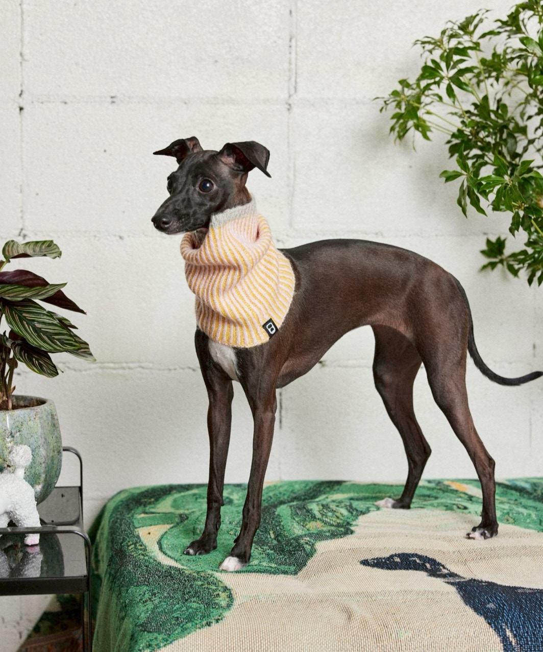 RIBLET NECK WARMER - YELLOW/BABY PINK