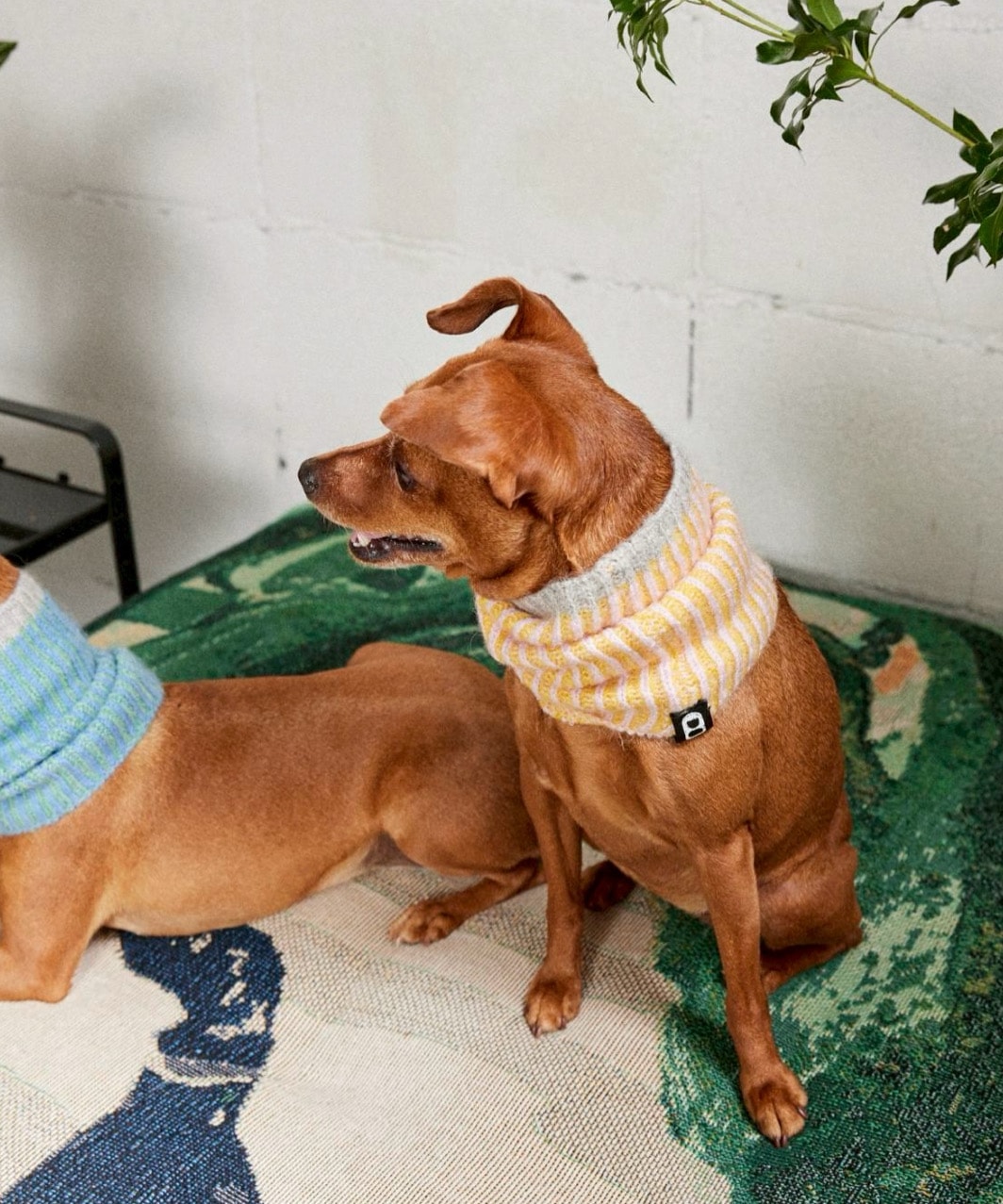 RIBLET NECK WARMER - YELLOW/BABY PINK