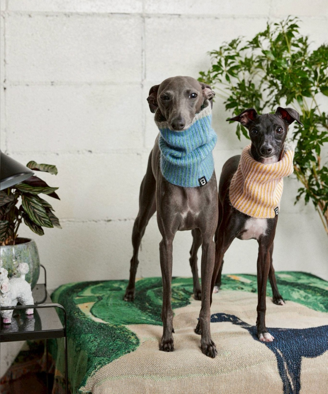 RIBLET NECK WARMER - OCEAN BLUE/MINT GREEN