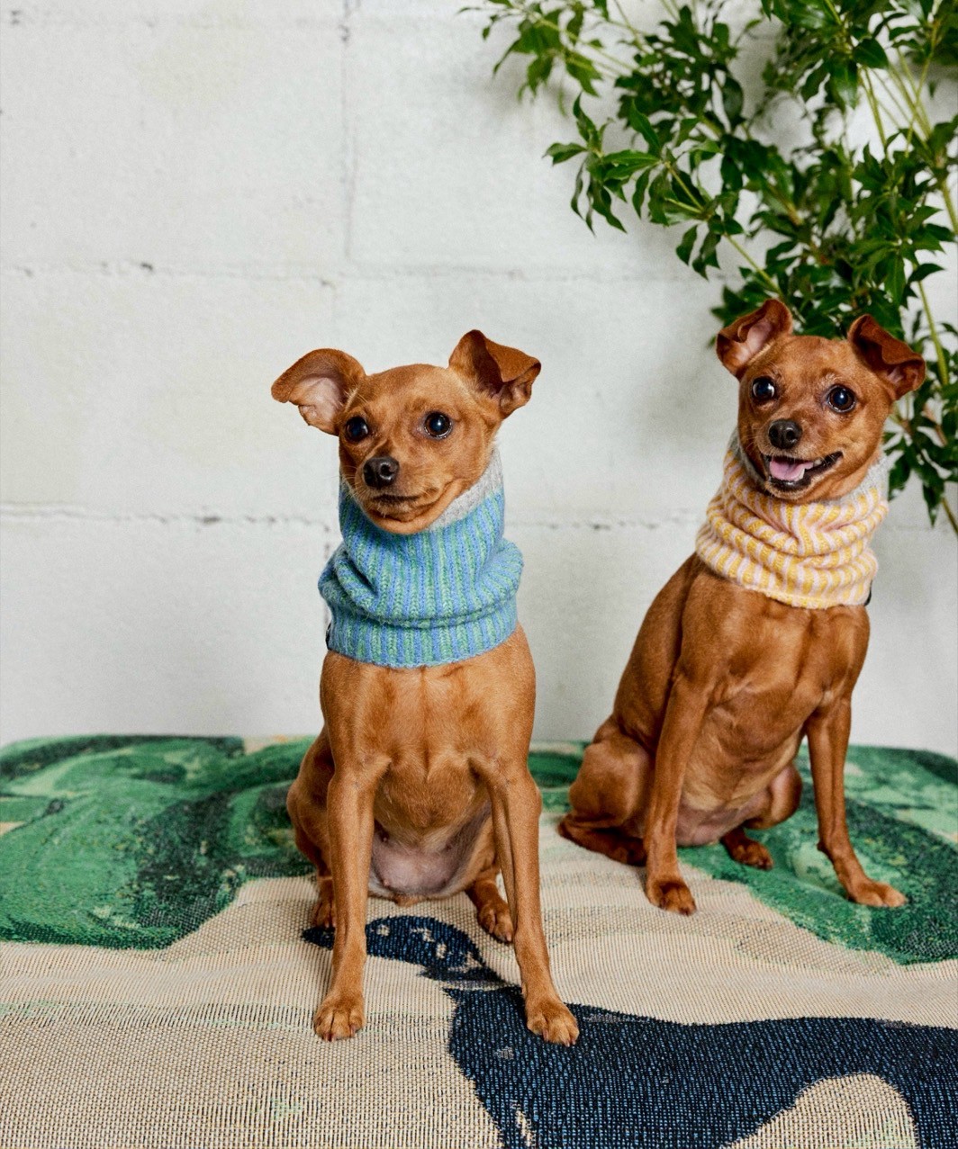 RIBLET NECK WARMER - OCEAN BLUE/MINT GREEN