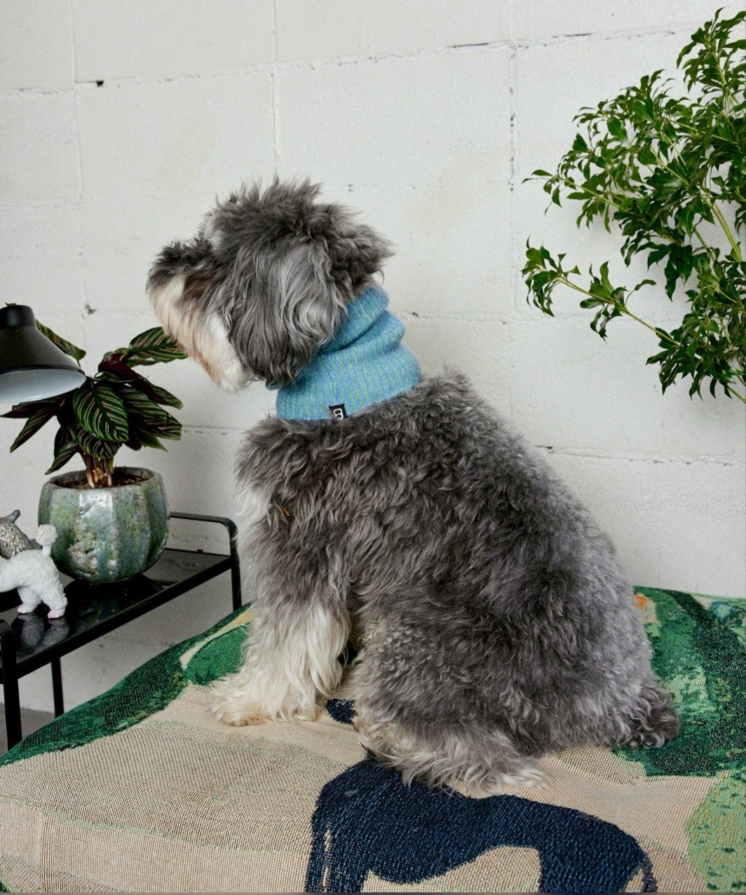 RIBLET NECK WARMER - OCEAN BLUE/MINT GREEN