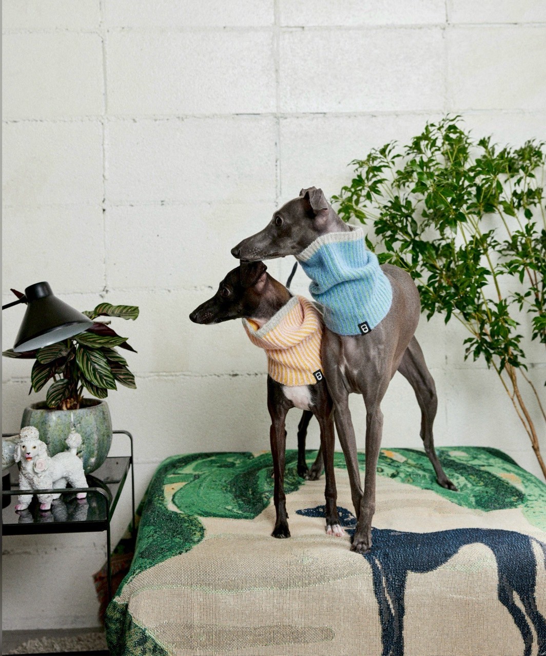 RIBLET NECK WARMER - OCEAN BLUE/MINT GREEN