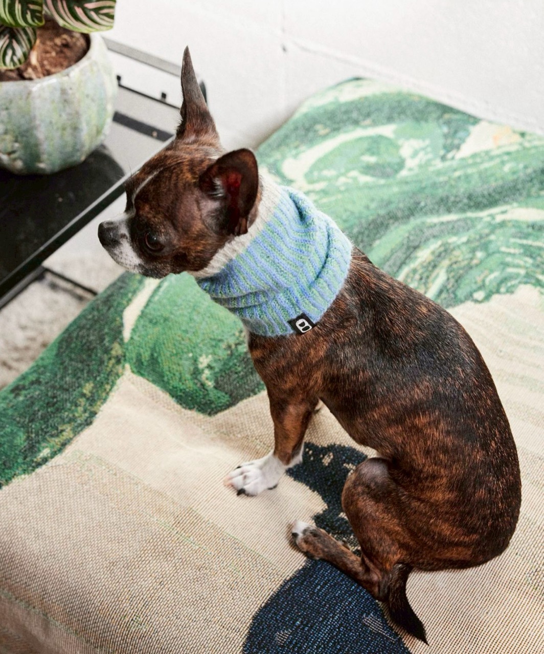 RIBLET NECK WARMER - OCEAN BLUE/MINT GREEN